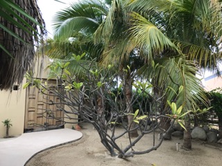 Hoppe Hacienda